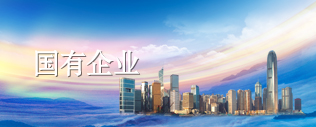 国有企业