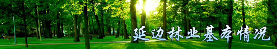 �ӱ���ҵ�������